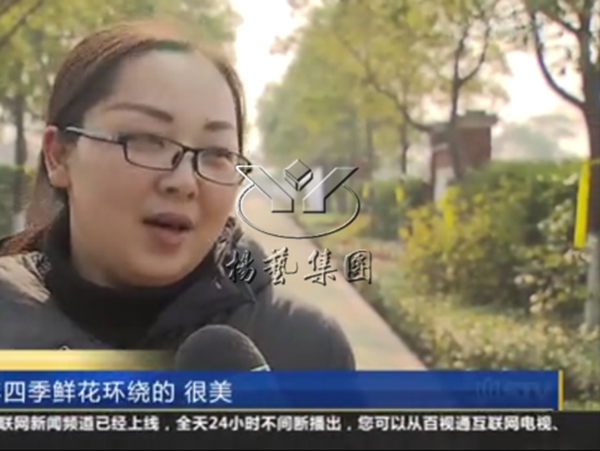 首页-人生就是博