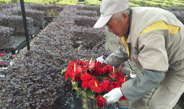 首页-人生就是博