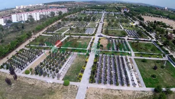 首页-人生就是博