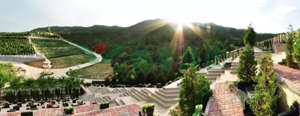 首页-人生就是博