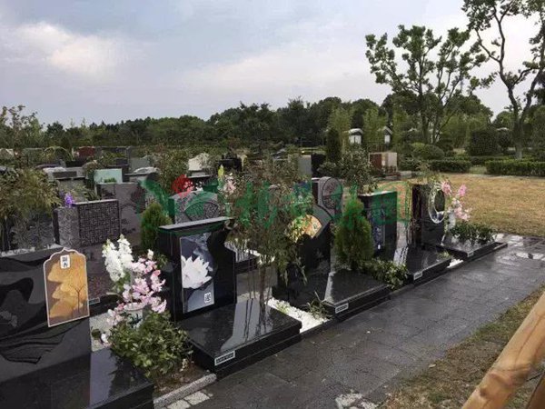 首页-人生就是博