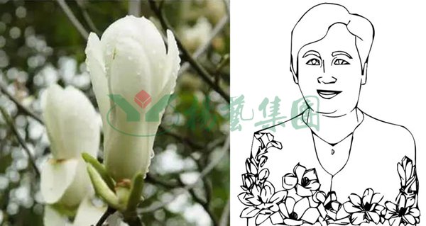 首页-人生就是博