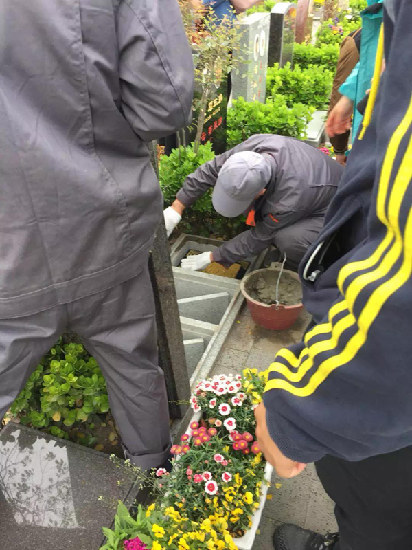 首页-人生就是博