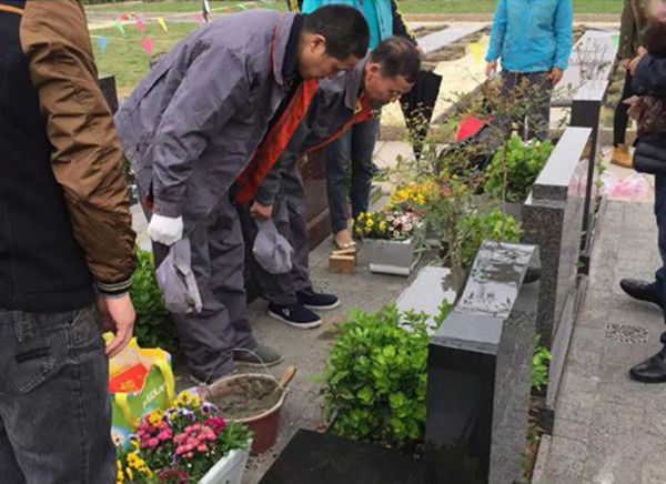 首页-人生就是博