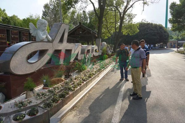 首页-人生就是博