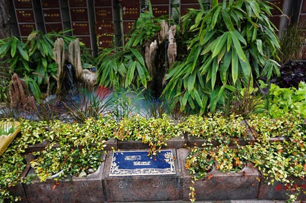 首页-人生就是博