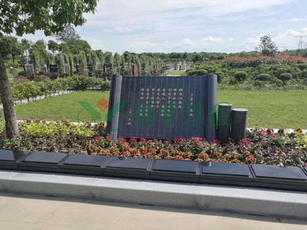 首页-人生就是博