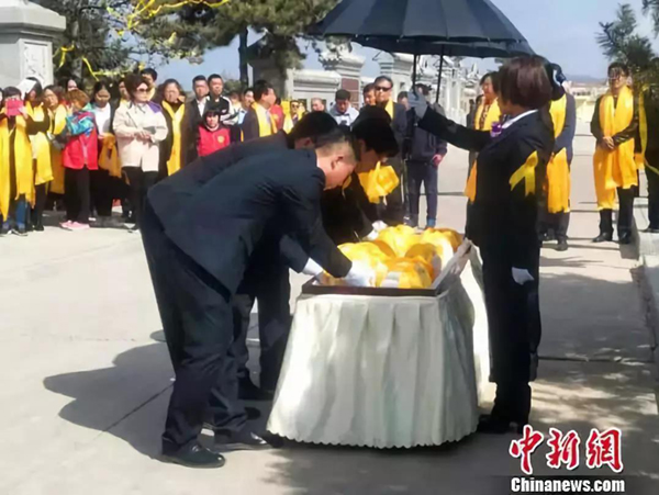 首页-人生就是博