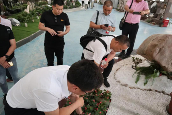 首页-人生就是博