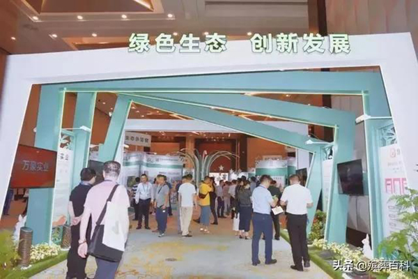 首页-人生就是博