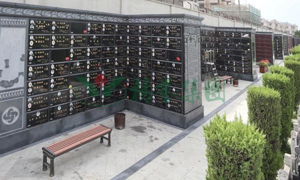 首页-人生就是博