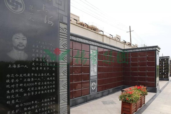 首页-人生就是博