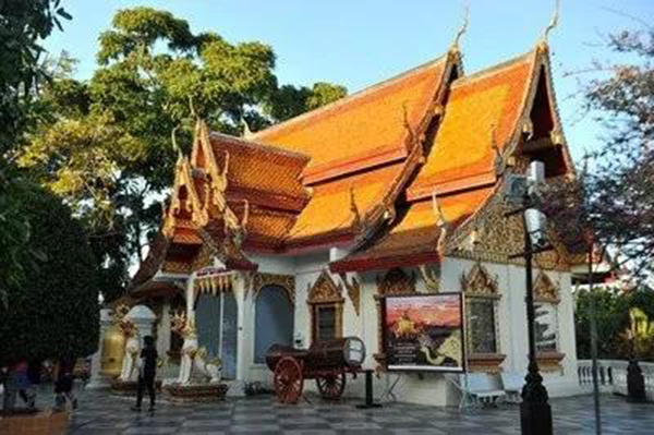 首页-人生就是博