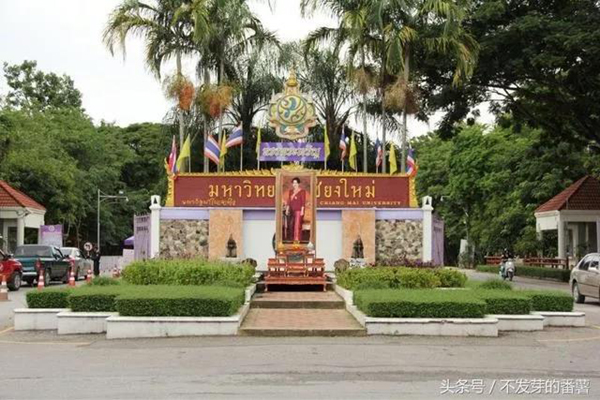 首页-人生就是博