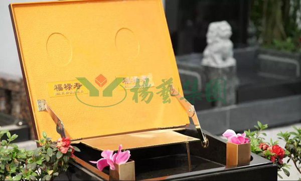 首页-人生就是博