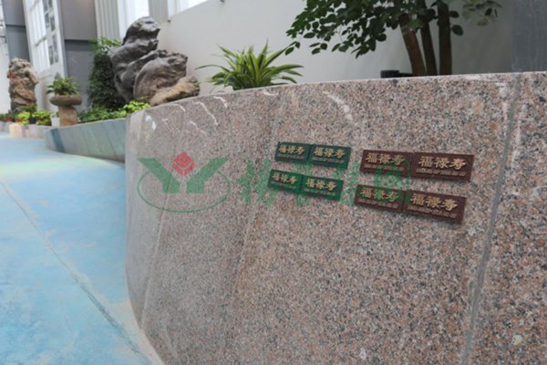 首页-人生就是博