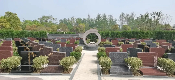 首页-人生就是博