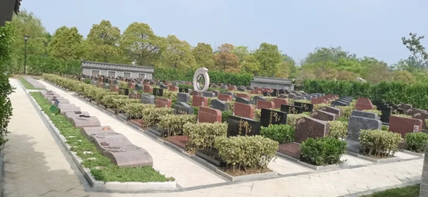 首页-人生就是博