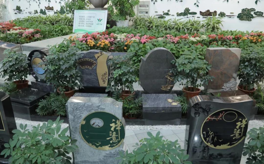 首页-人生就是博