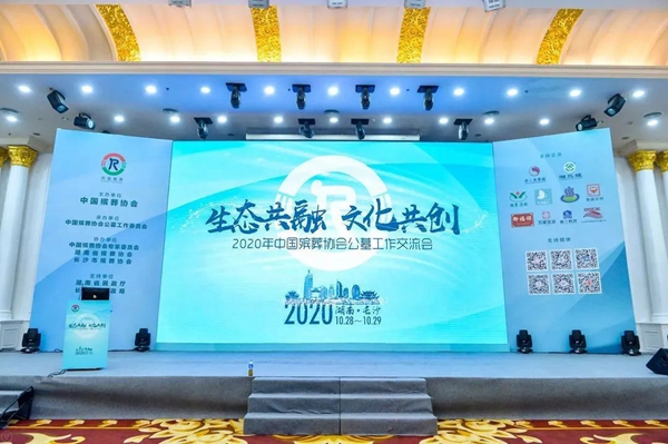 首页-人生就是博