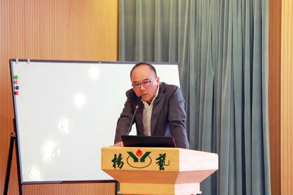 首页-人生就是博