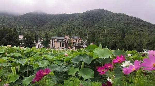 首页-人生就是博