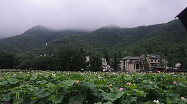 首页-人生就是博