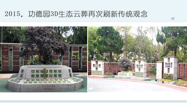 首页-人生就是博