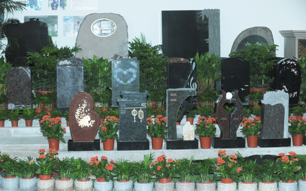 首页-人生就是博