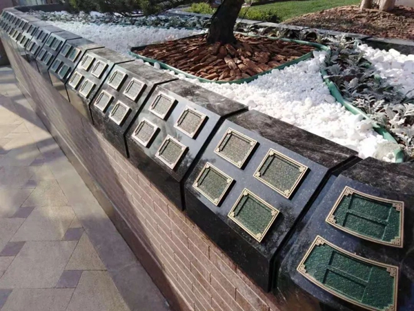 首页-人生就是博