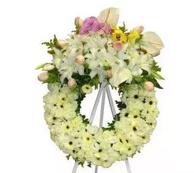 首页-人生就是博