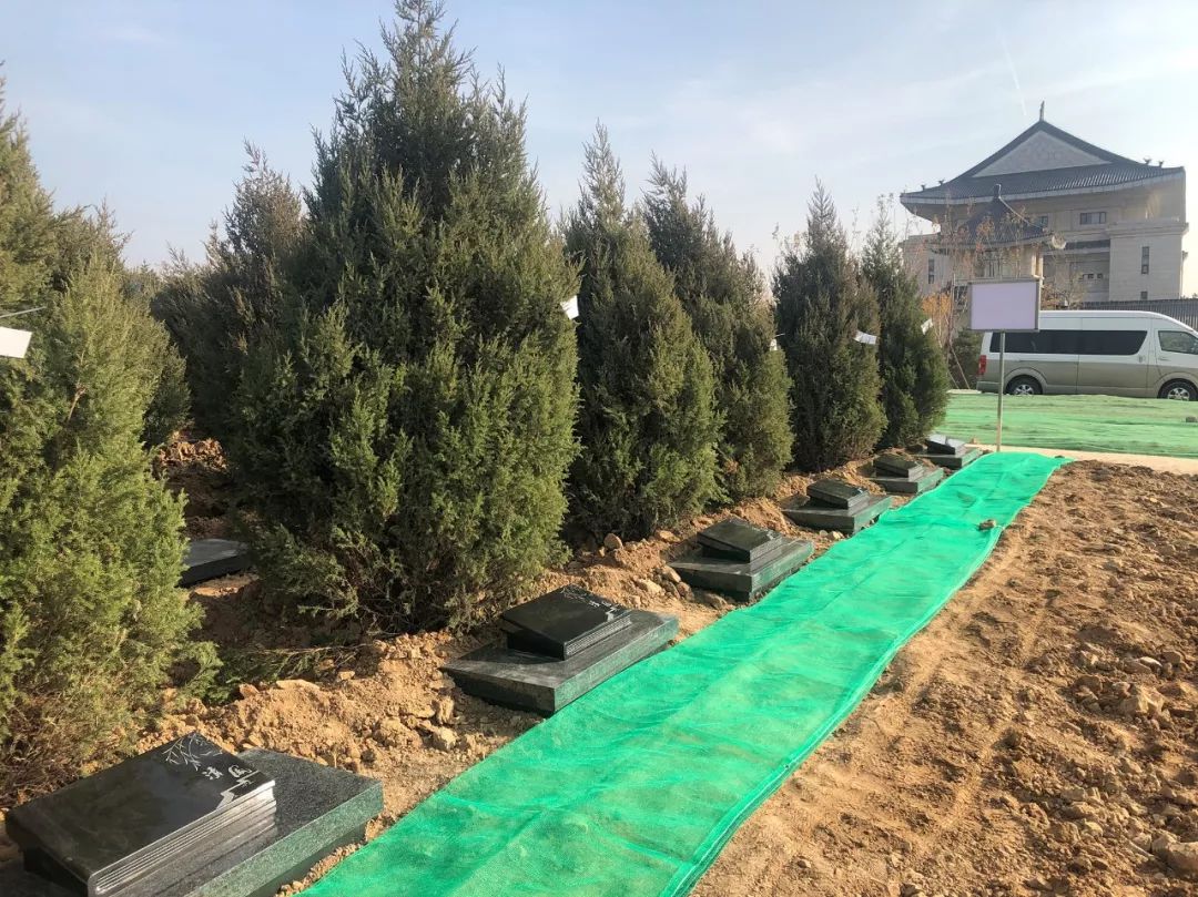 首页-人生就是博