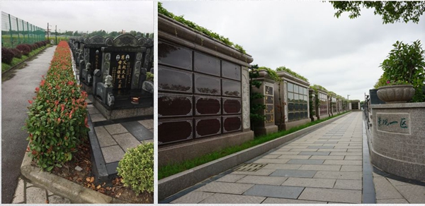 首页-人生就是博