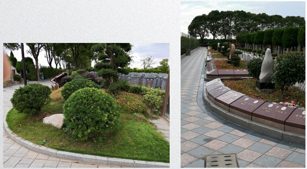 首页-人生就是博