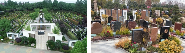 首页-人生就是博