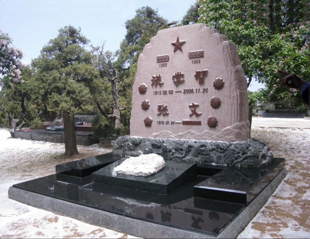 首页-人生就是博