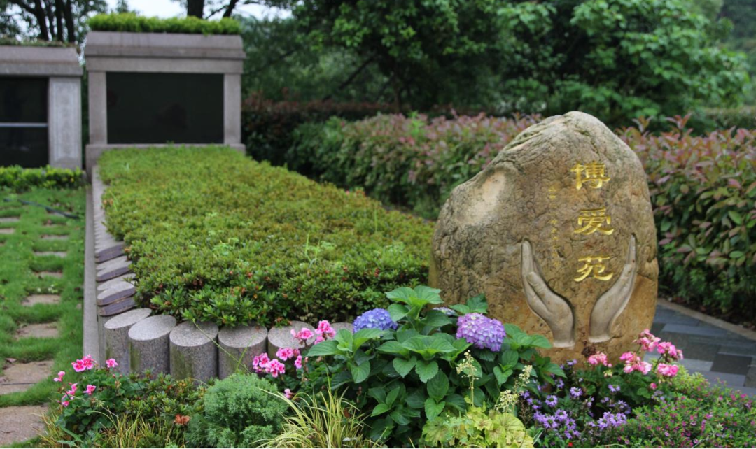 首页-人生就是博