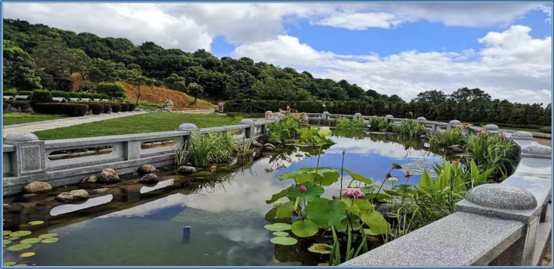 首页-人生就是博