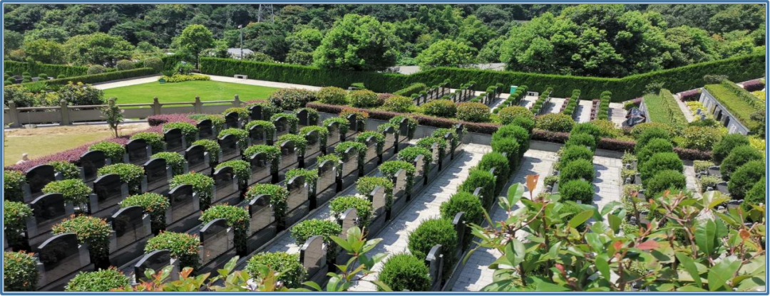 首页-人生就是博