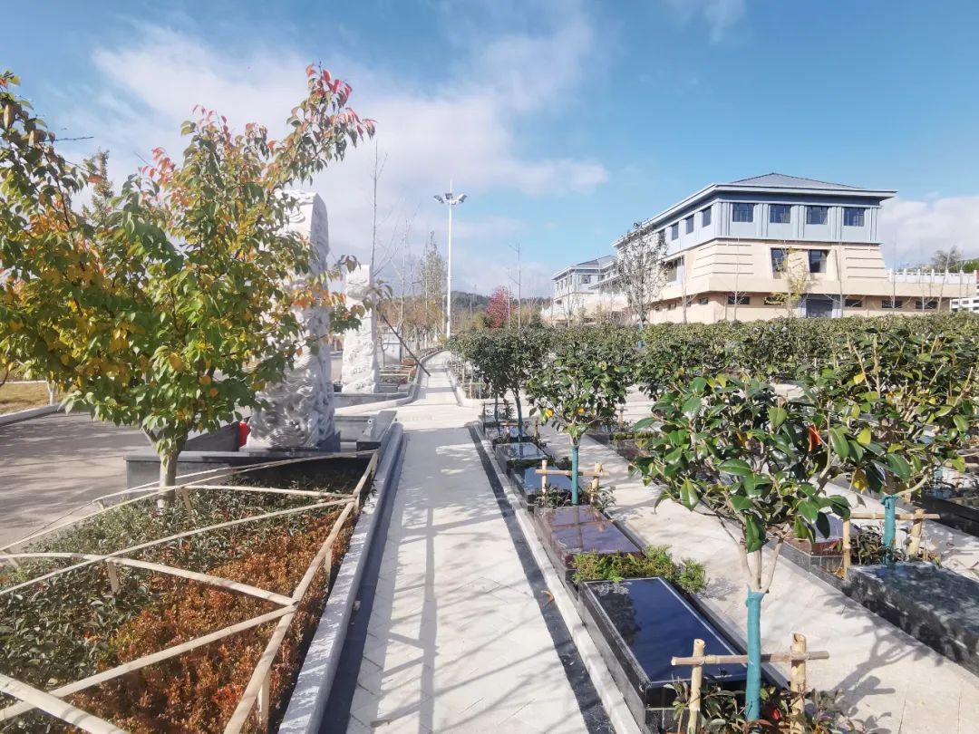 首页-人生就是博