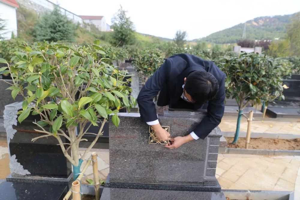 首页-人生就是博