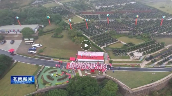 首页-人生就是博