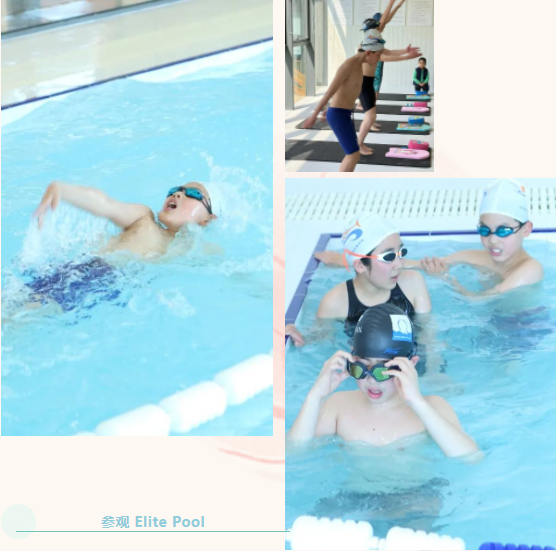 首页-人生就是博