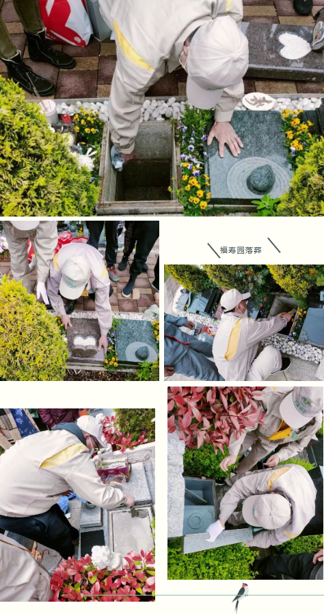 首页-人生就是博