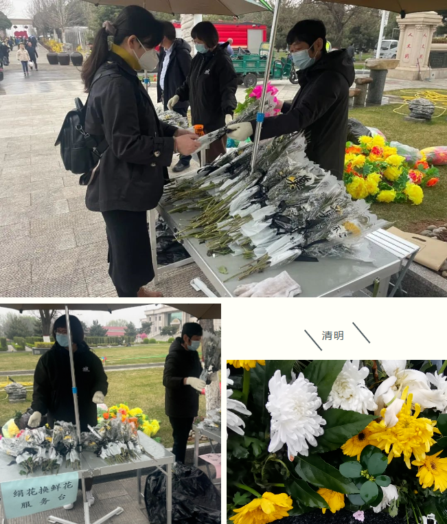 首页-人生就是博