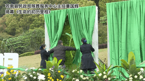 首页-人生就是博