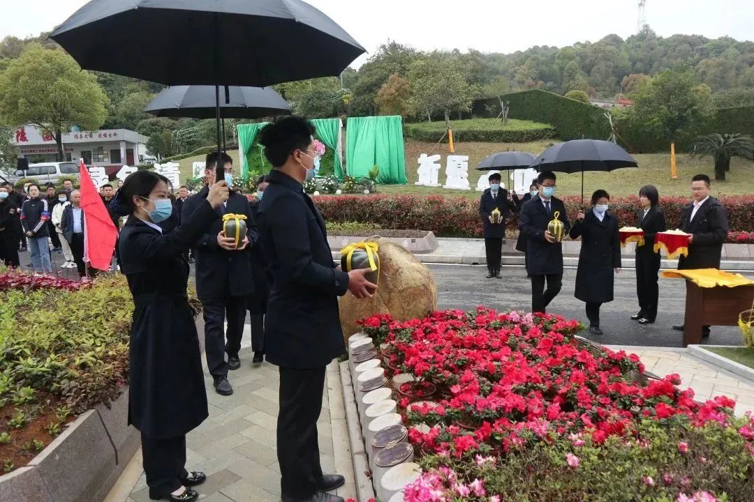 首页-人生就是博