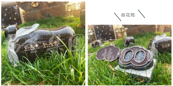 1-23050Q43KQB 首页-人生就是博