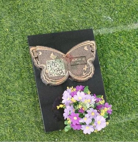 首页-人生就是博