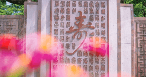 首页-人生就是博